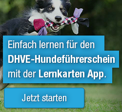 App zum Hundeführerschein des DHVE e.V.